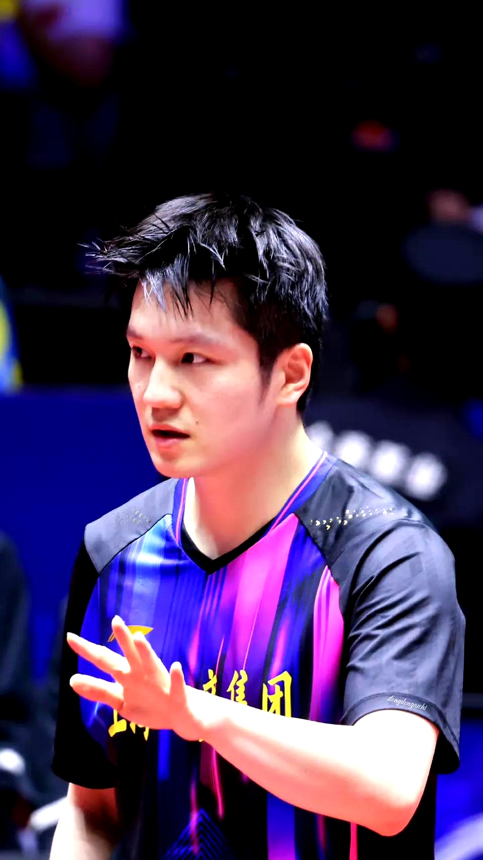 奥地利队横扫德国队，樊振东高光表现的简单介绍